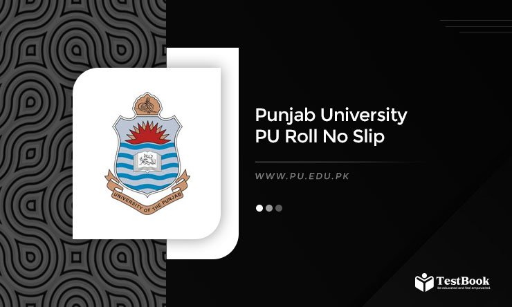 Punjab University PU Roll No Slip 2025 for BA, BSc, MA, MSc, ADC, and APD.