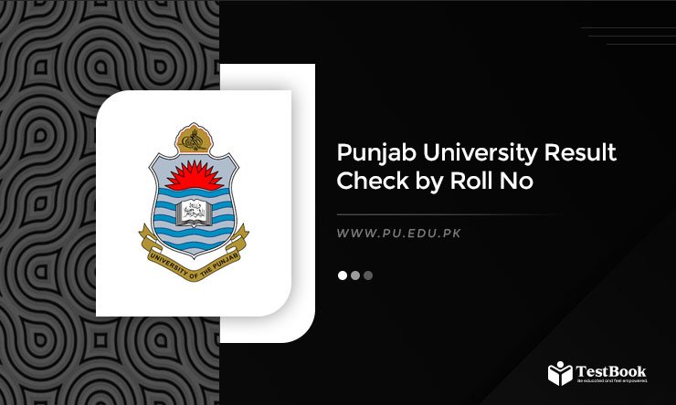 Punjab University Result 2025 BA, BSc, B.Com, MA, MSc @pu.edu.pk